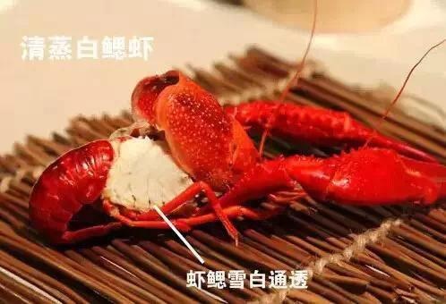 СϺͷܲܳԣСϺǰؿ