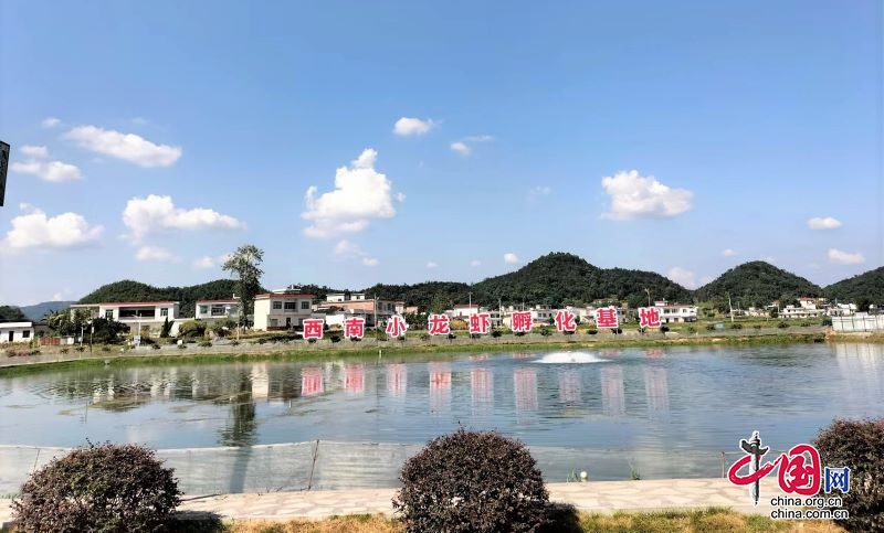 С��Ϻ�������ҵ �����Ч��ɫũҵ��չ�¸ߵ�