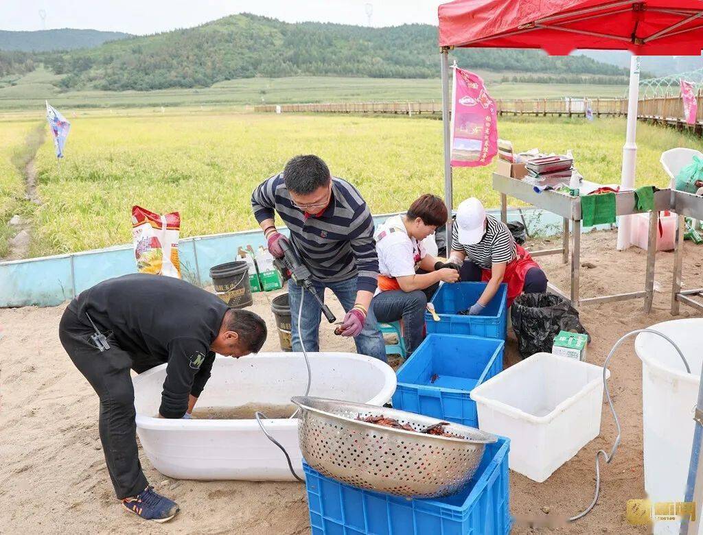 ����ͷ���š��������ձ����ɿ��ۣ�����С��Ϻ����