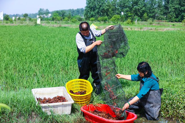 ��һ����Ϻ������·������