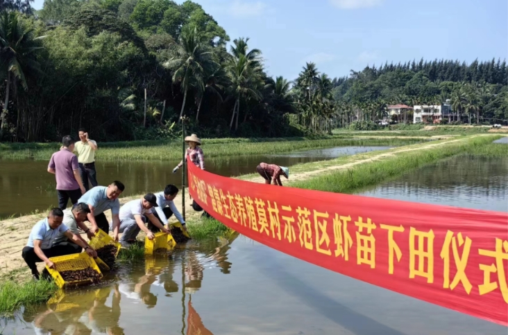 ���������򡰵���Ϻ��������̬��ֳĪ��ʾ����Ϻ������