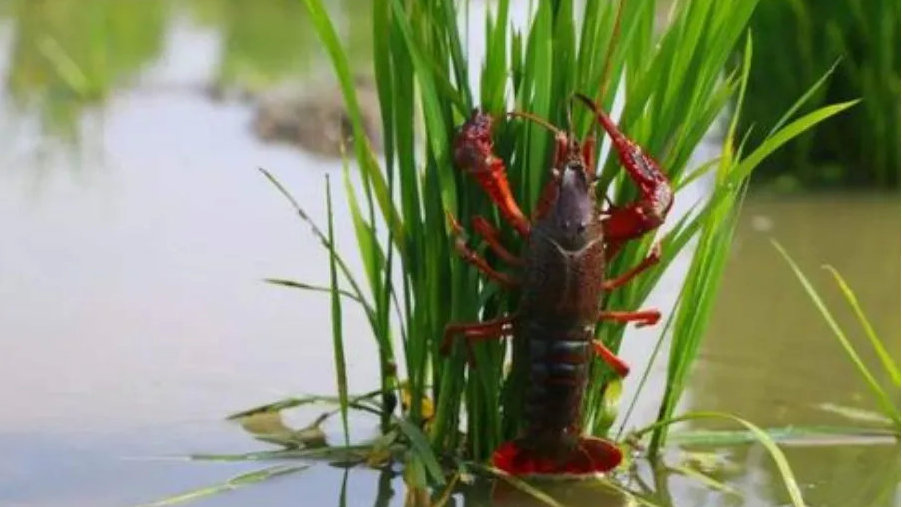 ��һ����Ϻ������·������