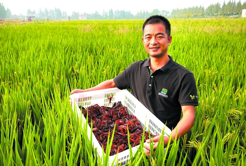 �����������⺺������Ϻ����