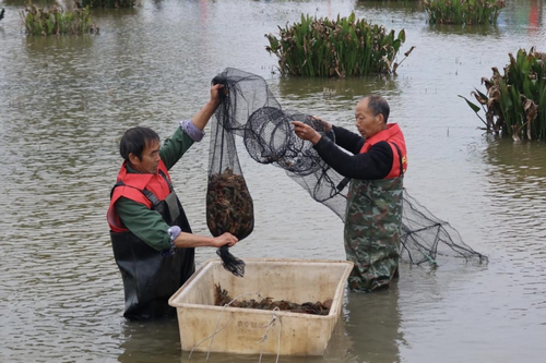 ���ղ��̳�4000������絾Ϻ�����ʡ�����