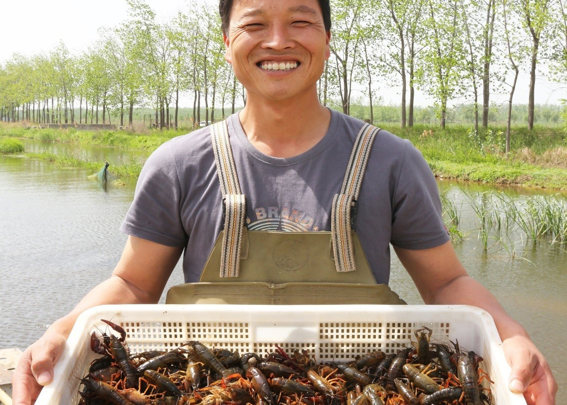 ��Ǩ���飺��Ϻ��С�������������񡰴�Ч�桱