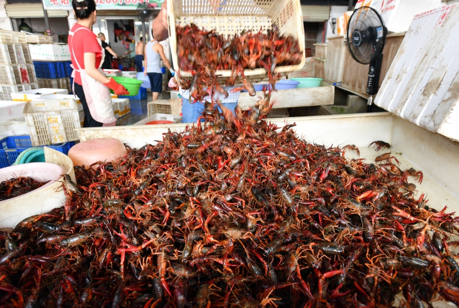 ����Ϻ��Ӧ�������й��г�