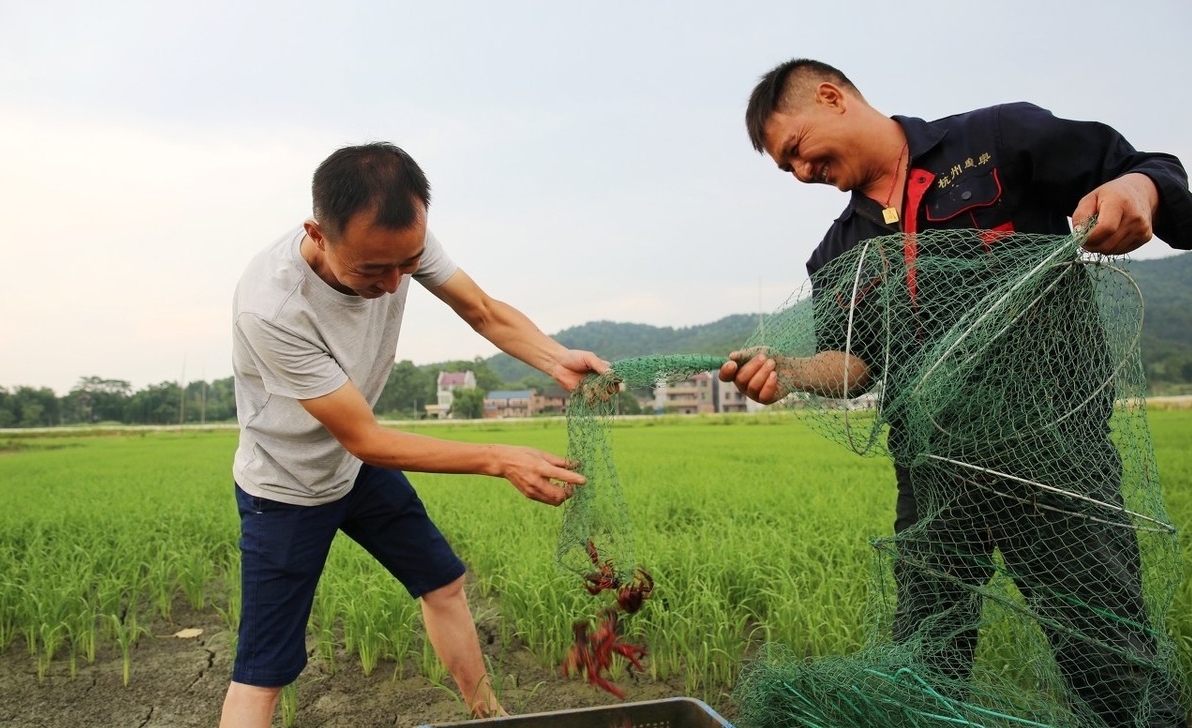 ����Ϻ�����������¸�·