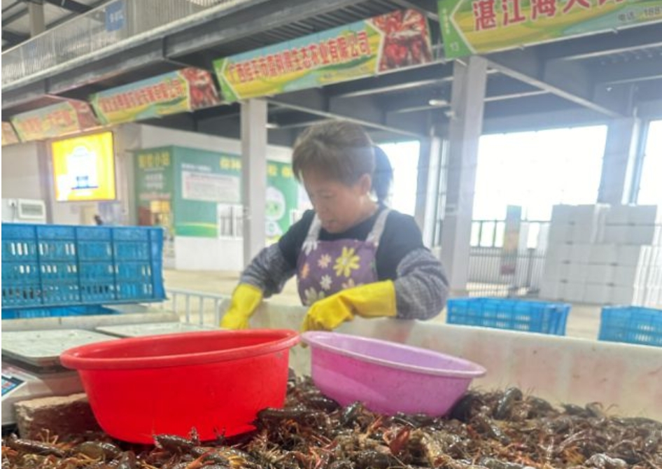 ����Ӧ�󣡹���С��Ϻ������