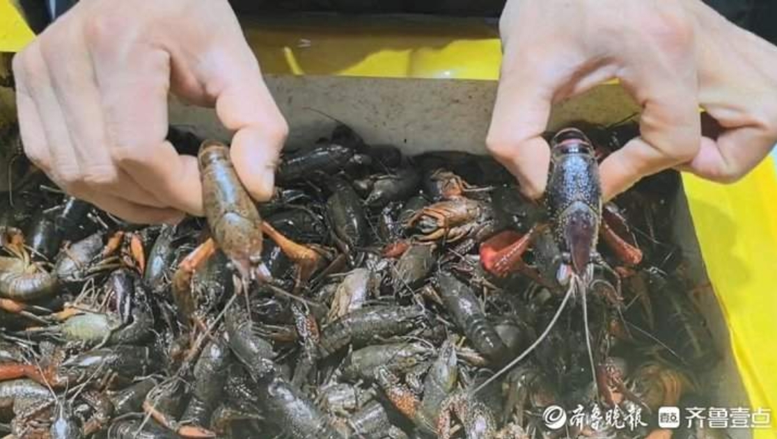 ���Ͻ����һ��С��Ϻ�Ѿ����У��㡰���ʡ�����